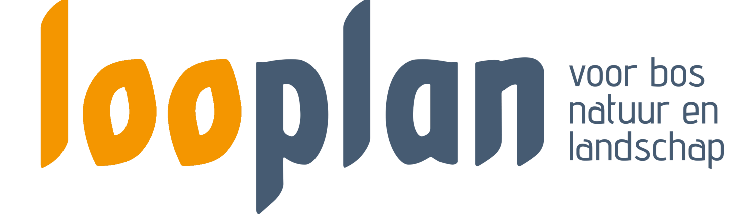Loo Plan